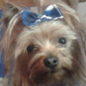 Meet your Posher, Charity